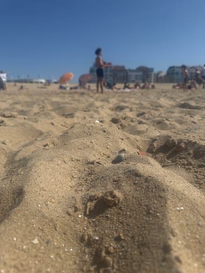 The image shows a beach in Knokke-Heist, Belgium on a sunny day. The foreground is filled with sand, with a small seashell visible. In the background, there are people, buildings, and an umbrella on the beach. The sky is blue and clear.