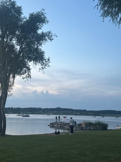 The image depicts a serene lakeside scene in Rimsting, Germany, at dusk. A large tree with dark foliage dominates the left side of the frame, its branches reaching towards a pale blue sky with wispy clouds. The foreground is a well-maintained green lawn.
The middle ground features a calm lake with several sailboats visible in the distance, their masts piercing the horizon. A line of trees forms the distant shoreline. On a rocky outcrop extending into the water, a group of people are gathered. Two individuals stand at the edge of the rocks, facing the water. Further to the right, on the grassy bank near the rocks, a person in a white shirt and dark pants stands, looking towards the lake. Another person is seated nearby, and a bicycle rests against a bush. Several other individuals are scattered on the lawn, some appearing to be relaxing. A few boats are also visible on the water closer to the shore. The overall atmosphere is peaceful and idyllic, suggesting a leisurely evening by the lake.