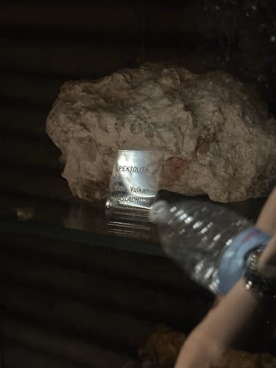 The image shows a geological sample labeled "PEKTOLITH" with additional text below, appearing to be in German: "Stk. Vulkan / WASLACHT". The sample itself is a rough, light-colored rock with reddish inclusions. It is displayed on a glass shelf. To the right of the rock, a partially visible person's arm and hand are seen holding a clear plastic water bottle. The background is dark and appears to be a dimly lit display or storage area. The location is identified as Schonach im Schwarzwald, Germany, suggesting this is likely a museum exhibit or a private collection display related to geology.