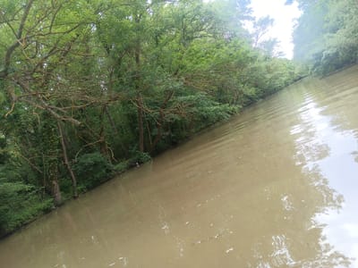 The image shows a waterway surrounded by dense green vegetation, likely a canal or river. The water is murky, light brown in color, and reflects the sky and trees above. Trees with green leaves line both sides of the waterway, forming a dense canopy in places. The vegetation appears overgrown and unkempt. The location is Bliznatsi, Bulgaria. There are no people or animals visible.