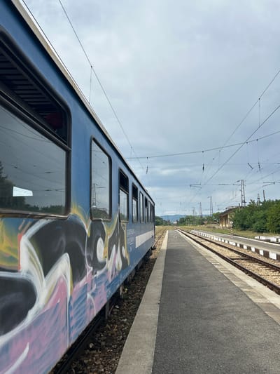 The image depicts a close-up view of a blue train car covered in graffiti, parked at a train station in Tulovo, Bulgaria. The train is positioned on the left side of the frame, with its side facing the viewer. The graffiti is vibrant and covers a large portion of the train's lower half, featuring abstract shapes and lettering in black, white, pink, and yellow. Several windows are visible on the train car, some reflecting the cloudy sky and surrounding landscape.
The train station platform, made of asphalt and concrete, runs along the right side of the image. Two sets of train tracks are visible, with gravel ballast and some weeds growing between the sleepers. In the background, a small, weathered building with a red-tiled roof stands beside the tracks. Further in the distance, power lines and poles crisscross the sky, and dense green trees line the horizon, suggesting a rural or semi-rural setting. The sky is overcast with a diffused light. There are no people visible in the image. The overall scene conveys a sense of abandonment or disuse, with the graffiti adding a layer of urban decay to the otherwise quiet station.