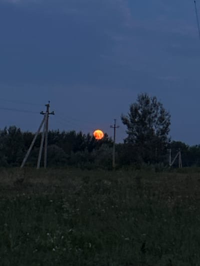 A full, glowing orange moon is visible in a dark blue twilight sky, positioned just above a dark line of trees. In the foreground, a grassy field stretches out, with some faint white flowers scattered throughout. To the left of the moon, a tall wooden power pole with three legs and crossbars stands prominently. Further to the right, a tall, leafy tree with a dark trunk and branches is silhouetted against the sky. Another power pole, with an "N" shaped structure attached, is visible on the far right. The overall scene depicts a rural landscape at dusk with the moon as the central focal point. The location is Belozerki, Russia.
