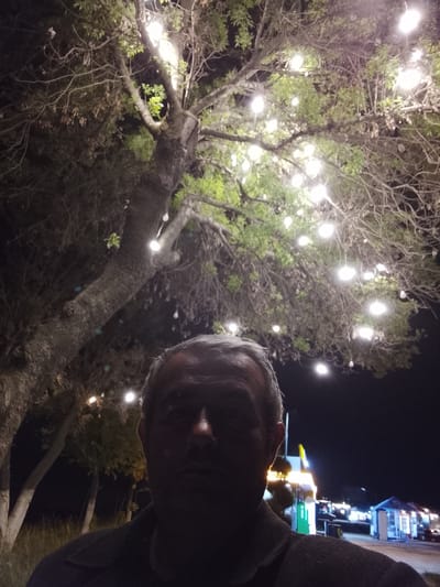 At night in Sabir Rakhimov, Uzbekistan, a person stands beneath a large tree adorned with numerous small, round, glowing lights. The tree's branches spread wide, partially obscuring the dark sky. The person, mostly silhouetted, faces the camera. Behind them are blurred lights suggesting a street or market area with structures and possibly other people.