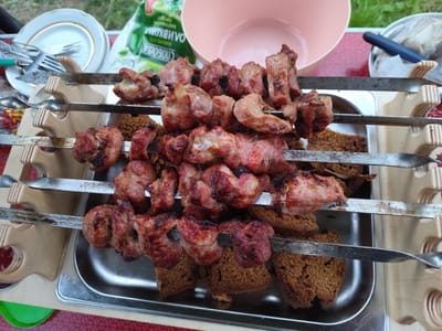 This image shows a close-up view of skewers laden with grilled meat, likely shashlik, being prepared for an outdoor meal. The skewers are arranged on a metal tray, with pieces of dark bread underneath, suggesting a picnic or barbecue setting. In the background, a pink bowl, plates with cutlery, and a green bag with visible Russian text can be seen, indicating a communal outdoor event. The lighting suggests it is daytime, possibly late afternoon, given the soft shadows. The overall scene evokes a casual and enjoyable gathering focused on food. The visible text on the green bag reads "СВОБОДА НАБОРНОЙ ПРОДУКТ" which translates to "FREEDOM PACKED PRODUCT". The location is identified as Afanasyevo, Russia.