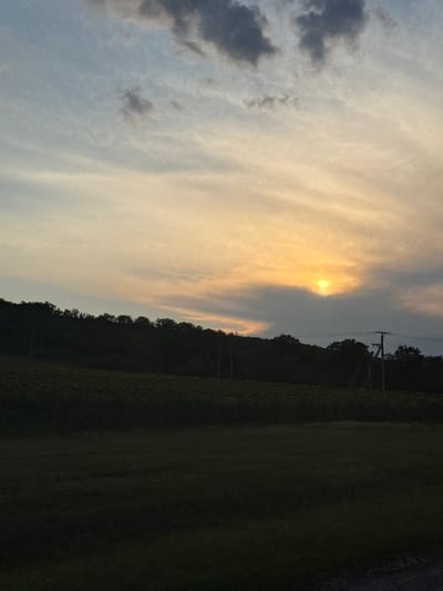 The image depicts a natural landscape under a sky illuminated by a setting sun. The foreground is a dark, grassy field. Behind it, a dense line of trees forms a silhouette against the sky, suggesting a wooded area or a hillside. The middle ground features a vast field of sunflowers, their heads appearing as a dense, textured carpet of dark green and yellow. A power line pole with visible wires stands to the right of the frame, breaking the natural line of the trees. The sky transitions from a pale blue at the top to warmer hues of orange and yellow near the horizon, where the sun is partially obscured by clouds, creating a dramatic sunset effect. This scene is located in Carabetovca, Moldova.