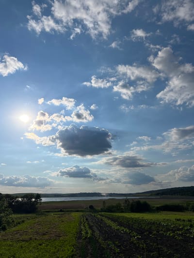 This media file shows a wide view of a rural landscape under a bright, partly cloudy sky. The sun is visible, appearing as a bright white orb with rays emanating outwards, suggesting it is midday. The sky is a vibrant blue with scattered white and grey clouds.
The landscape features a body of water, likely a river, stretching horizontally across the middle ground, bordered by distant hills covered in dense green foliage. To the right of the water, there is a cultivated field with rows of green crops, indicating agricultural activity. Some areas of the field appear to be freshly tilled soil. In the foreground, on the right side, there are darker patches of soil and some young plants, possibly part of the same agricultural field. Some small trees are visible along the edge of the water and within the landscape.
The image is oriented vertically, with the sky taking up the majority of the frame on the left and the landscape filling the right side. The lighting suggests a sunny day, possibly with some intermittent cloud cover. The overall mood is serene and natural, capturing a peaceful rural scene. There is no visible text in the image.