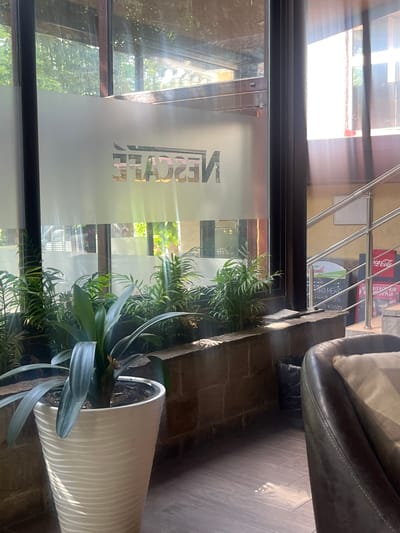 The image depicts the interior of a cafe in Madan, Bulgaria, with a large window exhibiting a frosted logo of "NESCAFÉ". Sunlight streams through the window, illuminating the scene and casting shadows. Inside, potted plants are arranged in a planter box along the base of the window. To the right, a staircase with metal railings is visible, along with a Coca-Cola branded sign and a blackboard menu. A dark leather armchair with a cushion occupies the foreground on the right side of the image. The flooring is a dark wood-like material. No individuals are present in the frame.