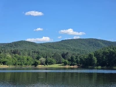 The image depicts a serene lake with a reflection of the lush green trees and rolling hills in the background. The sky is a vibrant blue with scattered white clouds. The scene is likely a natural landscape, possibly in or around Osetenovo, Bulgaria, given the context. There are no people or animals visible in the frame. The focus is on the natural beauty of the environment, with the water, trees, and hills creating a picturesque view. The overall impression is one of tranquility and natural abundance.