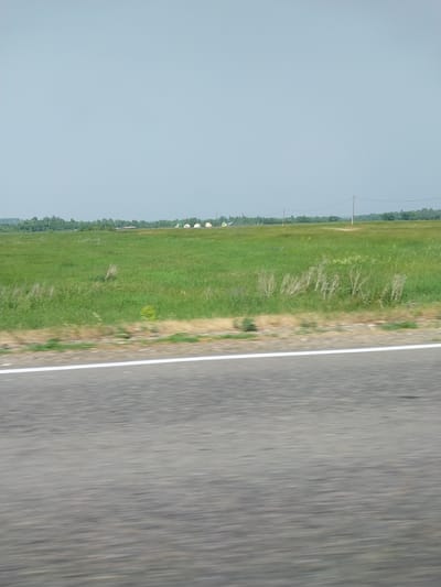 The image shows a view from a moving vehicle on a road in Sychevka, Russia. The road is paved with asphalt and has a white line marking its edge. To the left of the road is a green field with some dry grass and a line of trees in the distance. The sky is overcast and a pale blue. There are several utility poles visible along the edge of the field. In the far distance, a few small white buildings can be seen. The image appears to have been taken during the daytime. The motion blur suggests the vehicle is in motion.