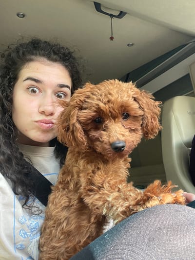 A young female, with dark, curly hair, light skin, and brown eyes, is depicted in a close-up, chest-up shot within the interior of a vehicle in Chelopech, Bulgaria. Her eyes are wide open, and her lips are pursed into a puckered expression. She wears a light-colored crew-neck shirt with a light blue floral pattern on the left side, and a black seatbelt strap crosses her left shoulder. She is holding a small, reddish-brown, curly-haired dog, likely a Poodle or Poodle mix, on her lap. The dog has a black nose and dark eyes and is looking directly forward, resting its front paws on the woman's dark-colored, textured pants/leggings. The vehicle's interior features a light-colored ceiling with a recessed circular light fixture. A small, red, star-shaped charm hangs from a dark string attached to a ceiling hook in the upper left background. To the right of the dog, a light-colored car seat with partially visible text is present.