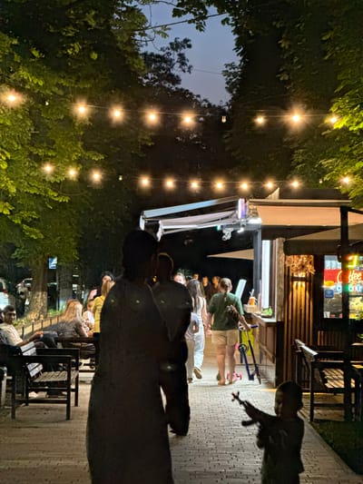 This media file captures an evening outdoor gathering at a venue in Novo-Artlukh, Russia. The scene is illuminated by strings of warm, glowing fairy lights suspended amidst leafy trees, creating a festive and inviting atmosphere. A group of people are seen interacting in a relaxed manner on a wooden deck area. In the background, a building with a counter area and bright signage is visible, suggesting it might be a cafe, bar, or restaurant.
The people are casually dressed, with some standing and conversing while others are seated on benches. The overall mood appears to be social and convivial, typical of an evening spent outdoors with friends or family. The time of day is clearly evening, as indicated by the darkness of the sky and the prominence of the artificial lighting. The presence of trees and the wooden decking suggest a natural or semi-natural setting, possibly a garden or a patio area.
One notable detail is a blue scooter partially visible in the middle ground, suggesting it belongs to one of the attendees or is a feature of the venue. The lighting casts a warm glow on the surroundings, creating a cozy ambiance. While no specific event is overtly depicted, the gathering suggests a social occasion like a dinner, drinks, or simply enjoying the evening outdoors. The image offers a glimpse into a pleasant social scene in a Russian locale.