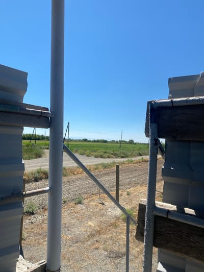 The image shows a view through a gap in corrugated metal structures, looking out onto a rural landscape under a clear blue sky. In the foreground, parts of what appear to be unfinished or dilapidated metal structures are visible on the left and right edges of the frame. A vertical white pipe is prominent in the center, with diagonal metal supports attached to it.
Beyond the immediate structures, a dirt road or path leads into the distance. The landscape consists of dry, dusty ground with sparse vegetation, transitioning to green fields in the middle ground. Power lines and poles are visible crossing the fields, and a distant electrical tower can be seen. The horizon shows a line of trees and possibly mountains in the far distance. The overall impression is one of an outdoor, possibly agricultural, area with some ongoing construction or disrepair.
The image is taken on a sunny day, likely during daylight hours. There are no people or animals clearly visible in the scene. The location is described as the city of Ranchpar, Armenia.