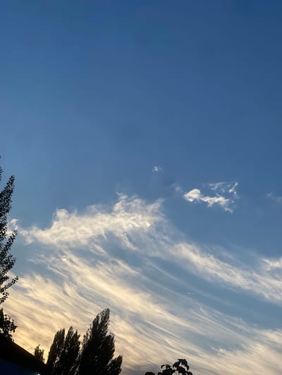 The image depicts a clear blue sky with wispy, elongated clouds stretching across it. The lower portion of the image shows the silhouettes of trees against a soft, golden light, suggesting either sunrise or sunset. A dark, horizontal line at the very bottom left likely represents a building or structure. The scene is likely outdoors, possibly in a natural or semi-urban environment, given the presence of trees. The location of Кызыл-Тоо, Kyrgyzstan, implies a geographical context of Central Asia, which could influence atmospheric conditions and the quality of light. There are no visible people or specific actions taking place in the image.