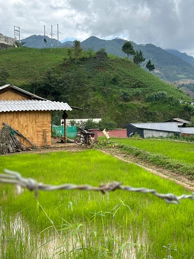 This image depicts a rural mountainous agricultural landscape in Dế Xu Phình, Vietnam, under an overcast sky. In the immediate foreground, a blurred barbed wire fence runs horizontally across the bottom of the frame. Beyond the fence, the lower half of the image is dominated by vibrant green rice paddy fields, partially submerged in water, with young rice shoots visible. A narrow, unpaved path or dike separates sections of the paddy on the right side.

In the midground on the left, a single-story structure with wooden plank walls and a corrugated metal roof is present. A pile of cut wood or bamboo is stacked against its left side. To the right of this building, a dark-colored motorcycle with visible license plate numbers "135 86" is parked on a dirt patch. Behind the motorcycle, a structure covered by a green net is partially visible. Further to the right in the midground, several additional, simpler structures with corrugated metal roofs and various wall materials are scattered among the fields. One white, glove-like object is visible hanging near a plant between these structures.

The background consists of steep, verdant hills covered with terraced agricultural fields, indicating cultivated crops across the slopes. Scattered trees, including both broadleaf and conifer-like species, dot the hillsides. Utility poles and power lines are visible on the upper left slope, traversing the terrain. The distant mountain peaks are partially obscured by atmospheric haze or low-hanging clouds, blending into the heavily overcast sky. No people are visible in the scene.