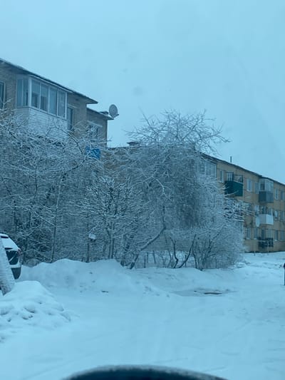 This image displays a snow-covered urban environment in Карабоўскі сельскі Савет, Belarus, under an overcast sky. The foreground and an unplowed roadway are covered in deep snow, with substantial snowdrifts present. A dark-colored vehicle is partially visible on the far left, largely obscured by snow. The midground is dominated by numerous bare deciduous trees and shrubs, all heavily encrusted with snow and ice. In the background, two multi-story residential buildings are visible. The structure on the left is a brick building featuring a glass-enclosed balcony and a satellite dish mounted on its roof. A blue tarp or similar object is partially visible among the trees in front of this building. To the right, a lighter-colored building presents multiple open balconies and several satellite dishes affixed to its facade. A dark, possibly liquid-filled, depression is visible within the snow on the mid-right side of the scene. No individuals or discernible activities are present. The perspective suggests the image was captured from inside a vehicle.