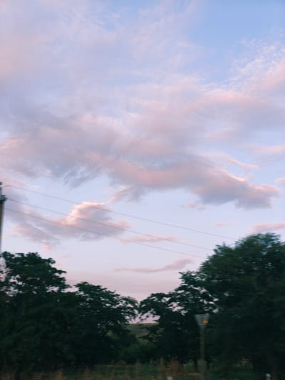 A low-angle, vertical, outdoor, daytime, medium shot captures a serene sky filled with soft, wispy clouds tinged with pink and purple hues. The sky transitions from a pale blue at the top to a lighter, almost white shade near the horizon. Horizontal lines of power lines crisscross the upper portion of the image. Below the sky, the tops of dark green trees are visible, creating a dense canopy that fills the lower half of the frame. A utility pole with wires stands to the left, and a yellow-orange street lamp with a dark gray shade is positioned on the right, amidst the trees and foliage. The scene suggests a natural setting, possibly rural or on the outskirts of a town, with the soft lighting indicating either dawn or dusk. The location is identified as Yamki, Russia.