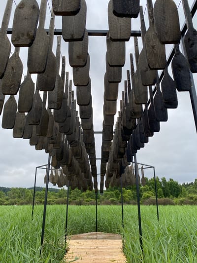 This image depicts an outdoor art installation in Lakhdenkhiya, Russia. The installation features numerous wooden oars suspended from a metal frame, creating a ceiling-like effect. The oars are aged and weathered, with visible wood grain and dark discoloration. Below the oars, a path made of light-colored wooden planks leads through tall green reeds. In the background, a dense forest with lush green trees borders a body of water, under a cloudy sky. No people are visible in the image.