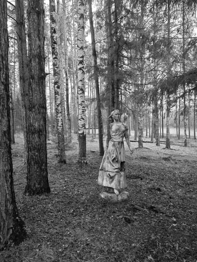 This monochrome photograph depicts a weathered statue of a woman situated in a sparse forest in Mishkino, Russia. The statue, likely made of concrete or stone, stands prominently in the mid-ground, facing towards the left. It portrays a woman in a draped dress, with her left arm appearing to be broken off at the shoulder, and her expression is neutral or solemn.

The setting is a mixed forest characterized by tall, slender trees. On the left and deeper into the background, dark-barked pine or fir trees dominate, while lighter, patterned birch trees are interspersed throughout the scene, particularly visible in the middle ground. The forest floor is covered with a thick layer of fallen leaves and some sparse, dry grass, suggesting an autumn or early winter season.

In the distant background, beyond the trees, a body of water, possibly a lake or pond, is visible, with faint structures or fencing along its far bank. The overcast lighting provides a soft, diffused illumination, contributing to a somber and somewhat melancholic mood. There is no discernible activity or event taking place, and no visible text is present in the image. The scene evokes a sense of forgotten history or a once-maintained area slowly being reclaimed by nature.