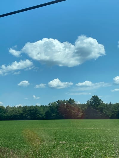 The image shows a bright blue sky with fluffy white clouds. A dark line, likely a power line or telephone wire, stretches across the top of the frame. Below the sky, a dense line of green trees forms a horizon. In the foreground, a vast, flat green field stretches out, appearing to be a cultivated crop, possibly soybeans, due to the small, uniform leaves. The lighting suggests it is daytime, with the sun casting shadows on the field and highlighting the textures of the clouds. The scene depicts a rural or agricultural landscape.