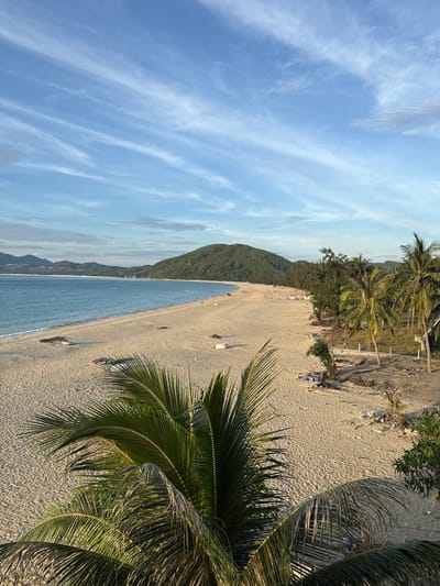 The image shows a wide, sandy beach with calm, blue water meeting the shore under a sky with wispy clouds. In the foreground, the fronds of a palm tree are visible, partially obscuring the view of the beach. The beach itself is largely empty, with a few scattered objects and some debris, particularly near the treeline on the right side of the frame. The treeline consists of various trees, including several palm trees, and further inland, a gently sloping, tree-covered hill or mountain dominates the background. The scene appears to be a coastal landscape in the city of Song Cau, Vietnam, likely during daylight hours, with the sun casting a warm light on the sand.