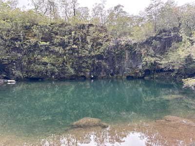 This image depicts a calm, green-tinted body of water, possibly a lake or pond, bordered by a rocky cliff covered in moss and vegetation. Trees line the top of the cliff and are reflected in the water. The water appears clear near the shore, revealing rocks and the bottom. The location may be in or near Puerto Varas, Chile, based on typical natural landscapes in that region. There are no people or animals visible in the image.
