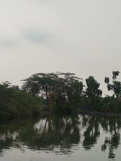 The media file depicts a tranquil scene of a body of water with lush green foliage and trees lining its edge. The sky is overcast, suggesting a cloudy or possibly hazy day, with a soft, diffused light. The water's surface reflects the surrounding vegetation and the sky, creating a symmetrical effect that adds to the peaceful ambiance.
The scene is dominated by various types of trees and dense greenery, creating a natural, untamed landscape. The trees vary in size and shape, with some appearing tall and slender while others are broader and more spread out. The water is dark and still, with ripples visible in places, indicating a gentle disturbance on its surface. The reflections on the water are slightly distorted, adding a painterly quality to the image.
There are no people or specific objects visible in the frame, placing the focus entirely on the natural elements of the environment. The overall mood is serene and calming, inviting a sense of quiet contemplation. The location cues, such as the type of vegetation and the overall climate suggested by the overcast sky, are consistent with a tropical or subtropical setting, aligning with the provided location context of Dukupuntang, Indonesia. The time of day appears to be either early morning or late afternoon, given the soft, even lighting and the absence of strong shadows. There is no visible text in the media file.