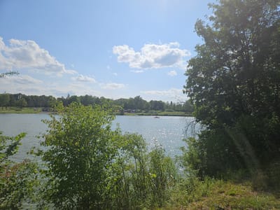 The image depicts a serene lake scene in Rainau, Germany. The foreground is dominated by lush green trees and vegetation, with a body of calm water stretching into the distance. The water reflects the bright, sunlit sky, which is scattered with fluffy white clouds. In the background, a treeline encircles the lake, and a few buildings and vehicles are visible along the shore. A small red boat with two occupants can be seen on the water, suggesting recreational activity. The overall impression is one of a peaceful, natural landscape.