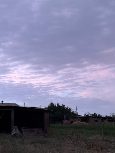 The image depicts an outdoor scene during twilight in the village of Zhibek Zholy rural district, Kazakhstan. In the foreground, dry grass and weeds are visible, with a rustic wooden structure on the left, possibly a shed or lean-to, its interior obscured by shadow. A piece of draped fabric and a metal frame are on the ground near the structure. A chain-link fence runs across the mid-ground, separating the immediate foreground from a grassy area. Behind the fence, several low-lying buildings with corrugated roofs and walls are present. Trees and foliage are scattered throughout the scene, with a denser cluster of trees behind the buildings. The sky above is filled with scattered clouds, exhibiting a mix of purples and pinks, indicating the transition from day to night. The overall impression is of a rural, somewhat weathered environment at dusk.