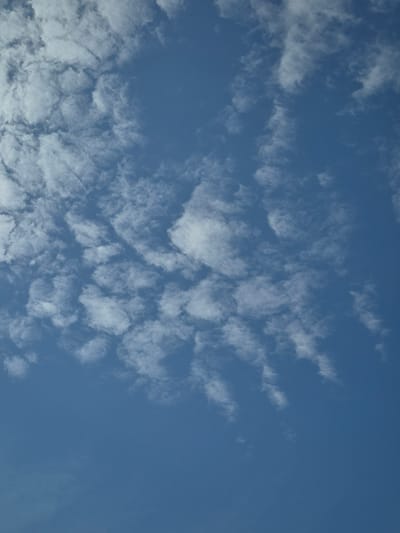 This media file is a photograph of a blue sky with scattered white clouds. The clouds are wispy and appear to be of a cumulus or stratocumulus variety. They are spread across the frame, with some areas appearing more densely packed with clouds than others. The overall impression is of a bright, possibly sunny day, with the clouds offering some texture and visual interest to the otherwise uniform blue expanse. There are no people, objects, or discernible structures visible in the image. The scene is a natural outdoor setting, specifically the sky above Pabradė, Lithuania. The time of day appears to be daytime, as indicated by the bright blue color of the sky and the presence of sunlight illuminating the clouds. The weather appears to be fair, with no signs of precipitation or harsh atmospheric conditions. There is no visible text within the image.