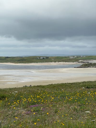 The image depicts a scene in Bunbeg, Ireland, under a heavily overcast sky. In the foreground, a dense field of wildflowers, predominantly yellow dandelions and some purple heather, is visible. Tall grasses and seed heads are interspersed throughout the floral display.
Beyond the wildflower meadow, a sandy beach slopes gently towards a body of water, likely a bay or inlet. The water appears calm, with visible ripples and tidal flats marked by lighter sandy patches. In the middle ground, a group of approximately five to seven individuals are gathered on the grassy embankment overlooking the beach. Their actions are not discernible beyond their presence.
Further in the distance, a low, rolling green landscape stretches across the horizon, dotted with several white-roofed houses. The overall impression is one of a coastal rural setting on a muted, cloudy day.