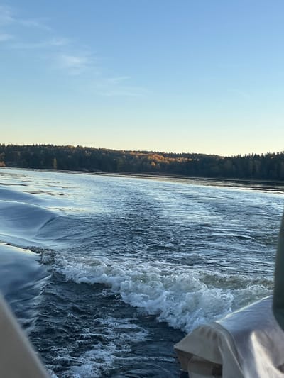 The image displays a waterscape scene captured from a moving boat in Ekerö kommun, Sweden. In the immediate foreground, the dark blue water churns into white foam, indicating the vessel's wake. Partial views of light-colored, possibly canvas or fabric, boat structures are visible at the bottom left and right edges. The midground features a wide expanse of rippling water. The background is dominated by a dense forest line stretching horizontally across the horizon. This forest is composed predominantly of dark green trees, with a distinct segment of golden-yellow and orange deciduous trees visible towards the center-right, brightly illuminated by sunlight. The sky above is clear, exhibiting a gradient from light to medium blue, with minimal, wispy white clouds in the upper left quadrant. No individuals are present in the frame.