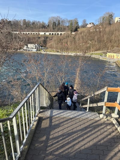 The scene depicts an outdoor location in Neuhausen am Rheinfall, Switzerland, looking down a paved staircase towards the Rhine River and its opposite bank. The sky is clear blue, indicating daytime conditions with bright sunlight casting prominent, elongated shadows of the railings across the dark grey interlocking pavers of the steps. The environment suggests late autumn or winter, with most deciduous trees in the foreground and on the distant hillside appearing bare.
A group of approximately eight individuals, consisting of six adults and two young children, are present on a landing or in the process of descending the staircase. All are attired in heavy winter clothing, including dark-colored jackets and various hats; one adult wears a dark jacket and hat while gripping a metal railing on the left. A small child in a light blue jacket and white hat is positioned near this adult, with another child in a pink patterned jacket and pink hat further to the right. The remaining adults are clustered behind or around these individuals.
The staircase features a light-colored metal railing with vertical balusters on the left and a section of wooden railing with horizontal bars on the right. Sparse, bare tree branches and some green undergrowth are visible along the sides of the steps.
In the midground, the wide Rhine River flows rapidly from left to right, exhibiting ripples and whitecaps on its blue-green surface. The opposite bank features a riverside promenade, distinguishable by numerous small flagpoles or banners. Structures on the far bank include a modern, multi-story building with a flat roof on the left, and a distinctive yellow building with a gabled roof on the right. A small red hut or structure is visible higher on the hillside between these buildings. Dominating the background is a long, multi-arched stone railway viaduct traversing a steep, tree-covered hillside. Several residential buildings are also visible higher on the hillside.