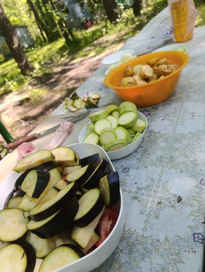 In Shumeika, Russia, a table is set outdoors with ingredients for a meal, possibly a barbecue, as evidenced by the raw meat visible. The scene is set on a table covered with a light-colored tablecloth featuring a floral pattern. In the foreground, a white bowl is filled with sliced eggplant and some tomato wedges. To its right, another white bowl contains sliced zucchini. Further back, an orange bowl holds chopped potatoes. There are also other bowls and a plastic cup containing a yellow beverage visible. The background is blurred, showing trees and what appears to be a building. The overall impression is a preparation for an outdoor meal in a natural setting.