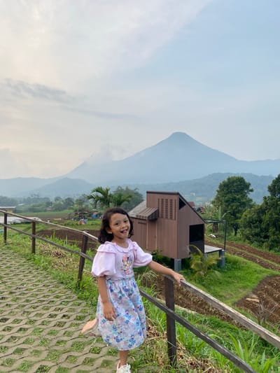 A young girl in a light purple dress is smiling and holding onto a wooden railing. She is standing on a grey patterned stone walkway with grass growing in between the stones. Behind her, there is a brown wooden building, a tropical palm tree, and terraced rice paddies. In the distance, a large mountain is visible through a haze. The location appears to be Tamiajeng, Indonesia, based on the presence of rice paddies and the tropical landscape.
