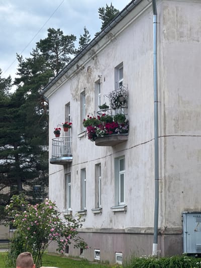 The image shows the side of a pale, textured apartment building in Olaine, Latvia. The building has several windows with white frames and a grey downspout running horizontally across it. Flower boxes with white, pink, and red flowers are hanging from some of the windows, and two potted plants are visible on a small balcony.
To the left of the building, tall evergreen trees are visible against a cloudy sky. To the right, a large bush with pink flowers is blooming next to the building, and a patch of green grass is also visible. A person's head and shoulders are visible in the lower right corner of the image, suggesting they are standing in the grass.
The scene appears to be set during the daytime, under overcast weather conditions. The overall impression is one of a residential area with some greenery and floral decorations. A small metal box with some visible text is mounted on the wall of a structure to the right of the main building. The visible text on the box reads "KS-05-21-".