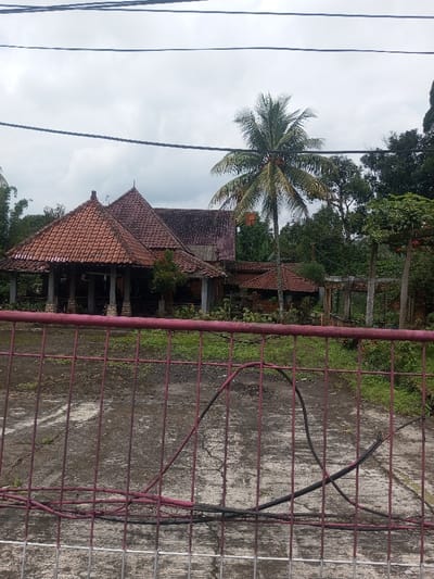 An exterior daytime image depicts a fenced property under an overcast sky, stated to be in Chori, Nigeria. In the immediate foreground, a rusty red metal mesh fence with vertical and horizontal bars obstructs the view, with a thicker red rail across its top. Below this, a section of a silver-colored mesh fence is visible. Two black electrical cables are draped over the red fence, resting on the cracked, dark gray concrete or asphalt ground behind it. Patches of green grass and weeds are visible through the cracks in the paved area.
Beyond the fence and paved surface, a complex of single-story structures with multiple peaked, terracotta-tiled roofs dominates the midground. The buildings feature light-colored support pillars and appear to be constructed from reddish-brown brick or similar material, with some sections showing signs of weathering or disrepair. Dense green foliage and various trees partially obscure the structures. To the right of the main building, a partial concrete frame or an unfinished structure is visible with open window-like frames.
A tall palm tree, likely a coconut palm, laden with coconuts, stands prominently on the right side of the frame, towering above the buildings. Additional dense green trees and vegetation form a thick backdrop behind the structures. Overhead, multiple thin, dark utility lines traverse the light gray, cloudy sky. No individuals or discernible activities are present within the scene.