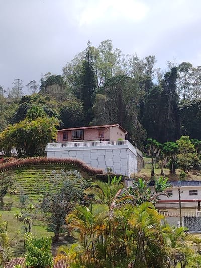 A two-story brick house with a white tiled support structure sits on a landscaped hillside. The house has a white balcony and is nestled among lush trees. The slope below the house is terraced with greenery and flowers. In the foreground, palm trees and rooftops are visible, suggesting the image was taken from an elevated perspective. The sky is overcast.