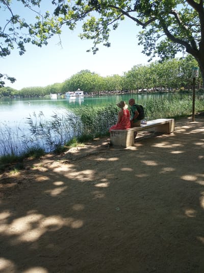 This image depicts a tranquil scene at the Estany de Banyoles, Spain, specifically along its shaded shoreline. In the foreground, a sandy path is dappled with sunlight filtering through the leaves of an overhead tree. A long, light-colored stone bench is positioned on the edge of the path, facing the water. Seated on the bench are two individuals, viewed from behind. A woman in a red and white patterned dress and a wide-brimmed hat is on the left, and a man in a green t-shirt and dark backpack is to her right. They appear to be looking out at the lake. The lake itself is calm and reflects the clear blue sky. Along the far bank, a dense line of green trees forms a natural backdrop. In the distance, several white boats are visible on the water, with some appearing to be docked. Reeds and tall grasses grow along the immediate edge of the lake. The overall impression is one of peaceful outdoor leisure.