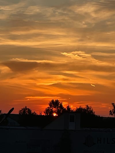 A vibrant, dramatic sunset or sunrise scene is captured in a portrait orientation. The sky dominates the left side of the frame, painted in brilliant hues of golden yellow, fiery orange, and deep red. Long, streaky clouds, illuminated by the low sun, stretch across the expanse, some appearing as bright, almost glowing formations against the darker background.

Along the right side of the image, a dark silhouette of trees and various structures forms the horizon. The sun, a bright, intense disc, is visible amidst the branches of a tree near the upper-middle right, casting a warm glow. Below the sun, more dark foliage extends downwards.

Further down the right edge, a series of dark buildings or industrial structures are visible. One prominent, large, dark structure features visible text. The words "HILS" are clearly legible at the top, followed by a logo resembling vertical bars with a right-pointing arrow. Below this, the word "SUNRISE" is partially visible, and a series of numbers, "0310 057 174", can be seen. Another smaller, lighter-colored structure with a white door and a small window is situated to the left of the large dark building. No people are present in the scene, and no specific activity is taking place. The overall impression is one of a serene, colorful end or beginning of a day over an urban or semi-urban landscape in Otopeni, Romania.