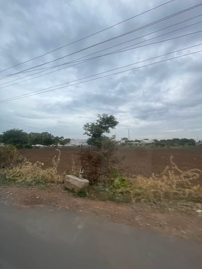 The image depicts a rural landscape in Bethamcherla, India, under a cloudy sky. In the foreground, a paved road is visible on the left, bordering a brown, tilled field. Sparse, dry vegetation lines the edge of the field, with a large, light-colored stone resting near the center. A lone, somewhat bare tree stands in the middle of the field, with more lush green trees forming a line in the background. Beyond the trees, several low-rise buildings, possibly industrial or residential, are scattered across the horizon. Overhead, multiple power lines crisscross the sky. The overall impression is one of an overcast day in a semi-agricultural area.