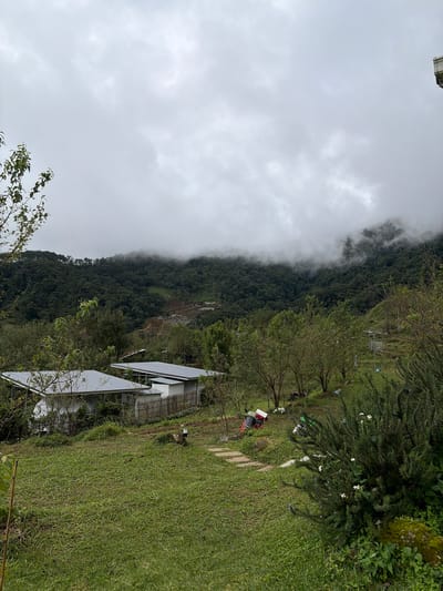 The image shows a cloudy, mountainous landscape in Ban Khun Wang, Thailand. In the foreground, a well-maintained grassy lawn slopes gently towards two modern buildings with grey, slanted roofs. These structures appear to be houses or guest accommodations, nestled amidst lush green trees and vegetation. A low bamboo fence separates the buildings from the lawn.

Beyond the buildings, the terrain rises into a dense, verdant forest that covers the rolling hills. The upper portions of these hills are shrouded in a thick layer of mist and low-hanging clouds, obscuring the mountain peaks and creating a dramatic, ethereal atmosphere. In the middle ground, patches of terraced land, possibly for agriculture, are visible on the forested slopes.

Several objects are scattered on the lawn and near the buildings, including what appear to be bags or luggage, a small red and white cart, and some white plastic objects. A stepping stone path winds across the grass, leading towards the buildings. The overall impression is one of a peaceful, remote, and somewhat moody natural setting.