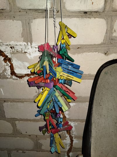 A cluster of colorful plastic clothespins hangs from a string against a light-colored brick wall. The clothespins are predominantly yellow, blue, green, and red, with some purple and orange visible. They are bunched together, overlapping each other, and appear to be suspended from multiple strings or wires. The brick wall behind the clothespins is textured and shows signs of wear, with some areas of peeling paint or plaster and dark streaks of what may be rust or dirt. To the right of the clothespins, a portion of a dark-framed object, possibly a piece of furniture or equipment with a mesh-like surface, is visible. The lighting suggests an indoor or shaded outdoor environment. The scene is located in Shchastia, Ukraine.