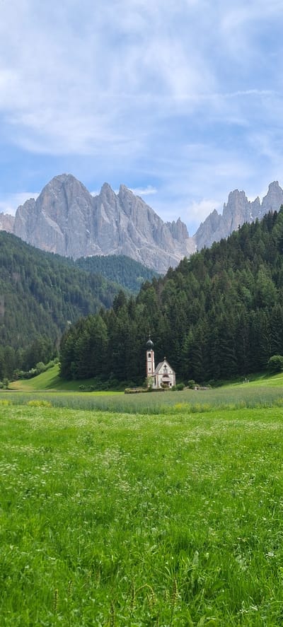 A picturesque landscape scene depicts the Church of St. Magdalena (also known as Santa Maddalena) nestled in a meadow with a backdrop of towering, rugged mountains and a dense forest. The church, a small, white building with a red-roofed tower, is situated in the middle ground of the image. The foreground is dominated by a vibrant green meadow filled with a variety of wildflowers and tall grasses. Behind the church, a thick, dark green coniferous forest covers the lower slopes of the mountains. The mountains themselves are majestic, with sharp, rocky peaks that rise dramatically into a partly cloudy blue sky. The overall scene conveys a sense of serenity and natural beauty in the Italian Alps.