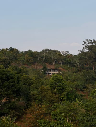 The image shows a hillside in Santa Cruz de Yojoa, Honduras. Lush, green vegetation covers the majority of the slope. A building under construction is visible amidst the trees. The sky is pale and mostly clear.