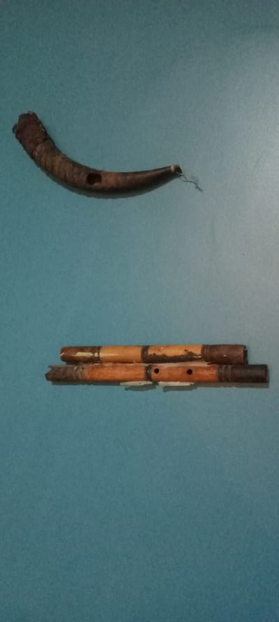 The image depicts an indoor scene in Yola, Nigeria, showcasing two sets of traditional-style artifacts mounted on a plain, light teal-colored wall.

In the upper half of the frame, a single dark brown, curved object is displayed horizontally. This object, approximately 45 cm in length, possesses a conical taper, widening from right to left, with a maximum diameter of about 8 cm. Its surface exhibits a rough, organic texture with visible longitudinal striations. A roughly oval-shaped aperture, measuring approximately 3 cm by 2 cm, is present on its convex side, located about one-third of the length from its wider, left end. A thin, light-colored fibrous cord, approximately 5 cm long, is attached to the narrower, right end. The wider, left end displays a fractured or naturally irregular edge.

In the lower half of the frame, two cylindrical objects, each approximately 35 cm in length and 2.5-3 cm in diameter, are mounted horizontally and parallel to each other. These objects are made of light brown material, consistent with wood or bamboo. The upper cylindrical object features darker brown sections at both of its extremities and exhibits signs of surface abrasion and discoloration. The lower cylindrical object also has darker brown sections at its ends and displays two distinct circular perforations, each approximately 1 cm in diameter, located along its upper surface. Both cylindrical objects are secured to the wall by multiple white, rectangular mounting clips, approximately 4 cm long, which are partially visible underneath them.

No people are visible, and no actions or interactions are depicted. The objects are static displays.