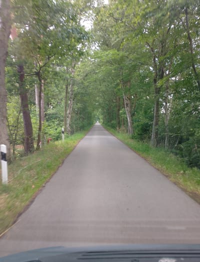 The image shows a straight, paved road lined with trees on both sides, creating a canopy over the road. The trees are full of green leaves, suggesting it is either spring or summer. The road appears to be a rural or suburban street. On the left side of the road, there are two white posts with black stripes, which might be road markers or signs. There is also a red object near the base of one of the trees, which could be a fire hydrant or a similar utility marker. The road recedes into the distance, disappearing around a gentle curve. The lighting suggests it is daytime, with the sun casting dappled shadows on the road and grass. The overall impression is one of a peaceful drive through a wooded area. There is no visible text in the image.