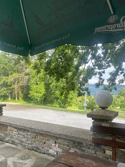 The image displays an outdoor scene, likely a terrace or viewpoint, overlooking a lush, forested valley in Sushina, Bulgaria. The perspective is from under a large green outdoor umbrella, which occupies the left side of the frame.

On the underside of the umbrella, reversed white text is prominently visible. It reads "Carlsberg" along with an emblem featuring a crown and the year "1847". Below this, the phrase "THE SPIRIT OF PRAGUE" is also discernable, indicating the umbrella's branding.

To the right, a spherical white outdoor light fixture is mounted on a stone and concrete pillar. Adjacent to this, a rustic stone wall with a concrete cap forms the boundary of the viewing area, with parts of a dark wooden bench or railing visible further to the right.

Beyond the terrace, a paved or concrete surface stretches into the middle ground. The background is dominated by a dense expanse of green trees and foliage, characteristic of a natural, hilly or mountainous region. In the distance, layers of hills or mountains recede under a bright, clear sky. A faint, distant structure, possibly a power line tower or similar utility pole, can be seen amidst the trees in the valley.

The scene appears to be set during daytime with clear weather, suggesting good visibility. No people are visible. The overall impression is one of a serene and natural setting, offering a pleasant view of the Bulgarian countryside.