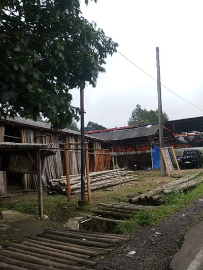 A lumberyard scene with stacks of logs and processed planks under open-sided, corrugated metal roofed sheds. The lumber is mainly stacked vertically, leaning against the shed walls. Several cylindrical logs are stacked horizontally on the ground. An electrical pole stands in the foreground. Beyond the sheds, a vehicle is visible under a larger open-air structure. The ground is covered with grass and vegetation. A wooden bridge spans a drainage ditch in the foreground.