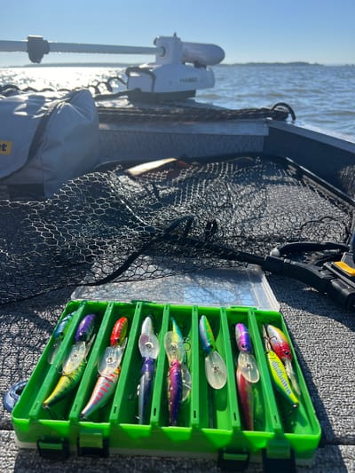 An outdoor, eye-level shot shows a fishing tackle box filled with various fishing lures. The lures are predominantly bright in color, with some featuring realistic patterns and others having iridescent finishes. They are neatly arranged in separate compartments within the green plastic box. In the background, a fishing boat is visible on the water, with a trolling motor mounted at the stern. The water is calm and reflects the sunlight. The sky is clear and blue. There are no people or animals present in the scene. The overall impression is one of a serene fishing outing. The location is the city of Novopichugovo, Russia.