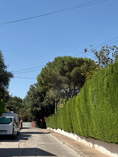 The image depicts a residential street in l'Ametlla del Vallès, Spain, on a clear, sunny day. The scene is dominated by a lush, green hedge lining the right side of the street, casting long shadows across the concrete pavement. In the foreground, parked cars are visible, including a white SUV with a license plate that reads "8754 JDH". The background features tall trees with dense foliage and power lines stretching across the bright blue sky. A red stop sign is visible on the left side of the street, partially obscured by the trees and hedge. The overall impression is one of a quiet, well-maintained suburban environment. The time of day appears to be afternoon, given the angle of the sun and the length of the shadows.